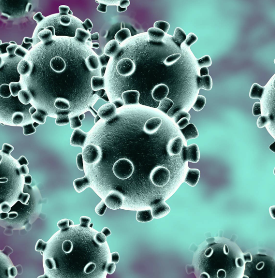 stock image of corona virus particles